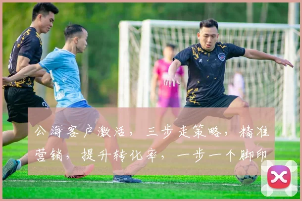 公海客户激活，三步走策略，精准营销，提升转化率，一步一个脚印，共筑辉煌未来，三重惊喜，不容错过