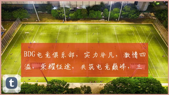 BDG电竞俱乐部，实力非凡，激情四溢，荣耀征途，共筑电竞巅峰，三冠王梦之旅