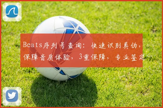 Beats序列号查询：快速识别真伪，保障音质体验，3重保障，专业鉴定，品质生活。